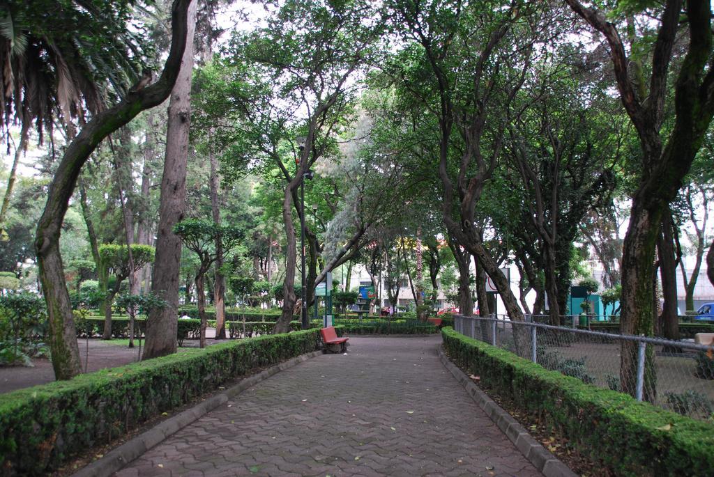 Homfor Napoles Apartment Mexico City Exterior photo